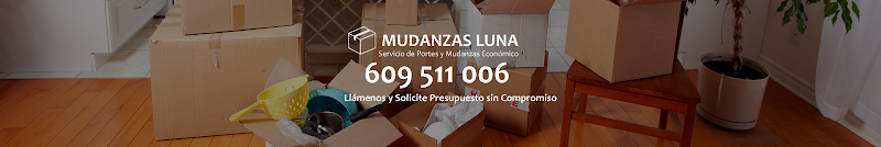 Mudanzas Luna