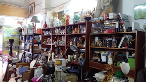 Servicios los Manitas (Alicante)