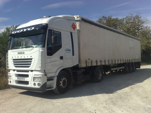 Trans Goyo Manchon S.L
