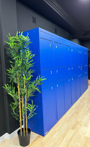 The Blues Lockers