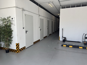 Miradellogistic S.L.