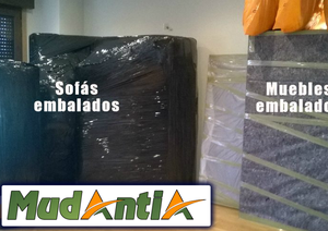 Mudantia