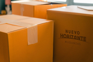 Mudanzasnuevohorizonte
