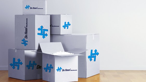 Mudanzas Internacionales De Haan Movers