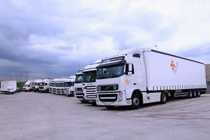 Transportes Francisco Sanz S.L.