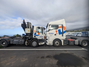 Logo Transportes y Gruas Domer