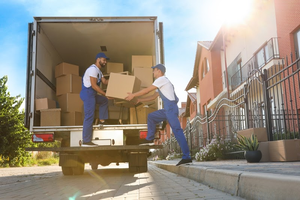 Moving Flores