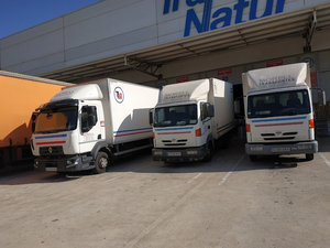 Transportes Morell