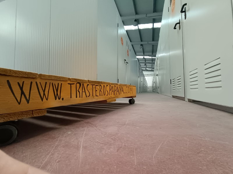 Trasterospapaya