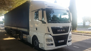 Pamole Logistica Sl