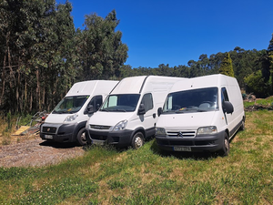 Balsa Transportes y Mudanzas