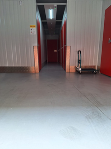 Trasterosnovaguadalajara