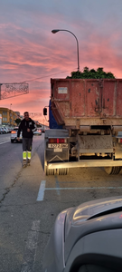 Fran Tejera Transportes Y