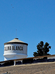 Pol. Gallina Blanca