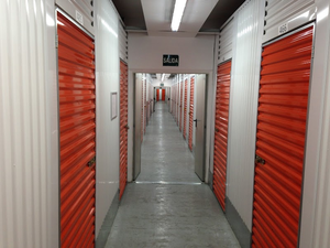 Mudanzas jdh
