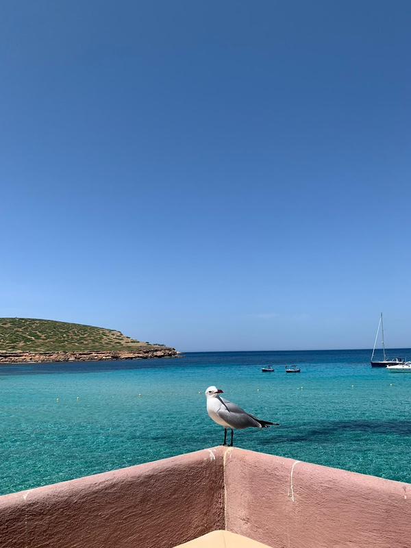 Mudanzasibiza