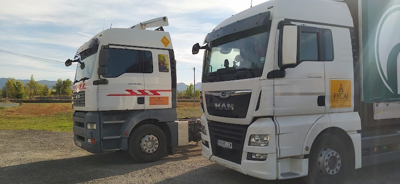 FYCAI Logistics Development.