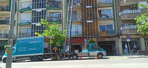 Mudanzaselpato