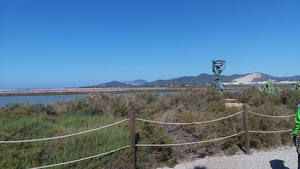 Ibizatours & Islandbus S.L.