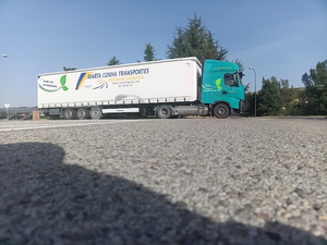 Marta cunha transportes sl