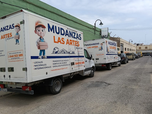 Mudanzas Las Artes