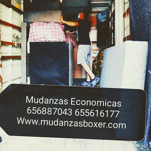 Mudanzasboxer